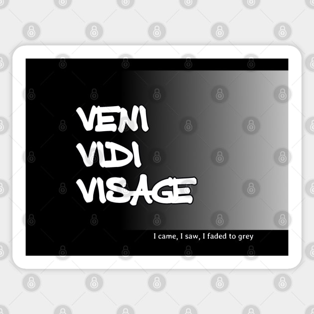 Veni Vidi Visage - I came, I saw, I faded to grey Sticker by soitwouldseem